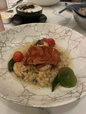 IMG_2977.jpeg