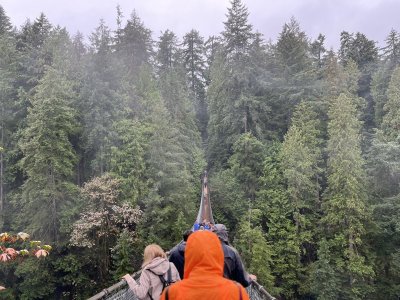 suspension bridge 2.jpeg
