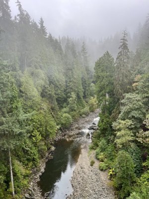 suspension bridge 3.jpeg