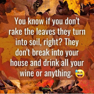 1729445137112.png