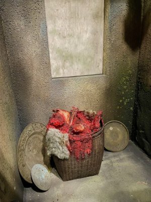IMG_1672.jpeg