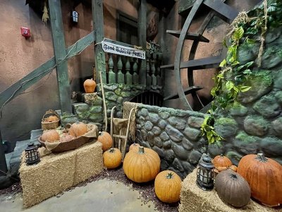 IMG_1689.jpeg