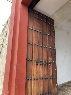 IMG_5426.jpeg