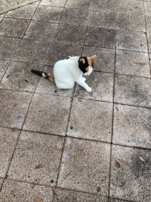 IMG_5420.jpeg