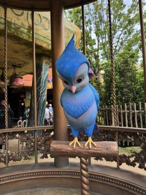 IMG_7003.jpeg