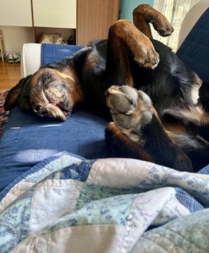 gremlin.jpg