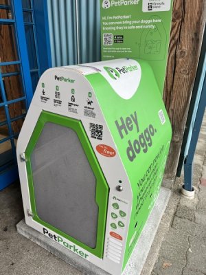 Doggo hut.jpeg