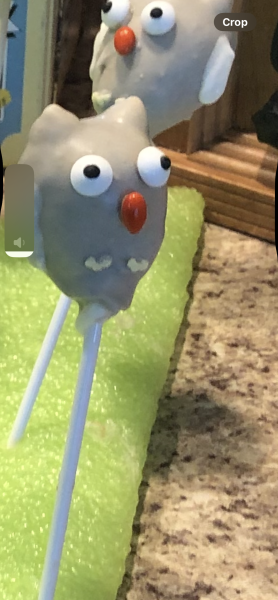 IMG_0973.png