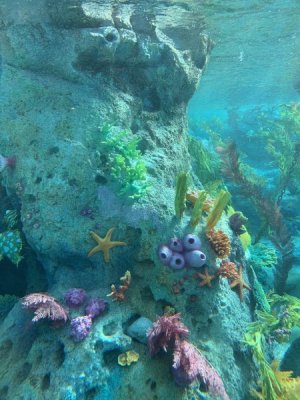 IMG_5380.jpeg