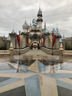 IMG_1551.jpeg