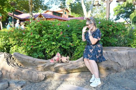 2024-08-19 - Disneys Animal Kingdom Park - The tree of life (2) (1).jpeg