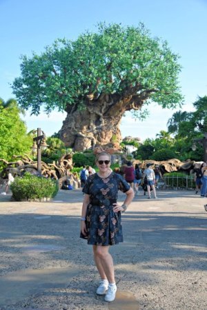 2024-08-19 - Disneys Animal Kingdom Park - The tree of life (3).jpeg