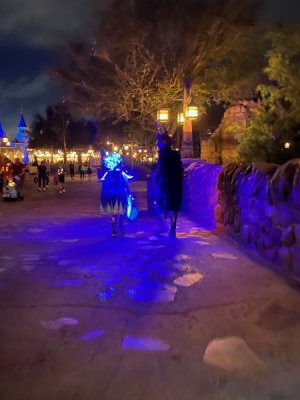 IMG_3138.jpeg