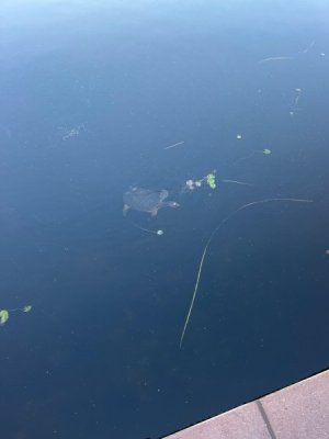 IMG_3173.jpeg
