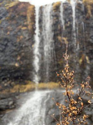 IMG_6755.jpeg