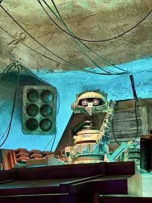 IMG_0263.jpeg