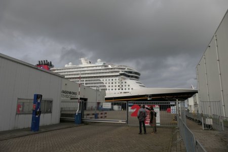 P1134540.JPG