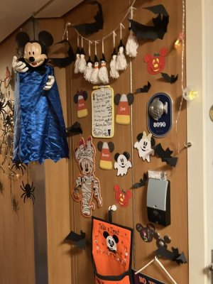 IMG_1306.jpeg