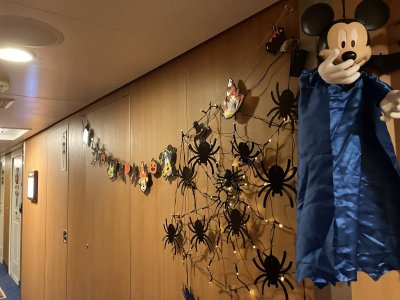 IMG_1305.jpeg