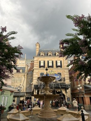 IMG_4351.JPEG