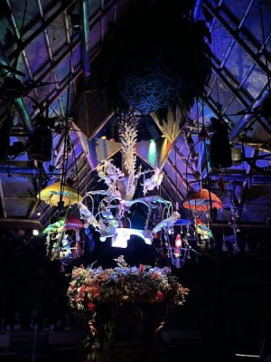 IMG_4477.JPEG