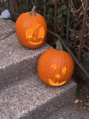 IMG_3701.jpeg