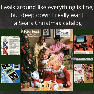1730431916862.png