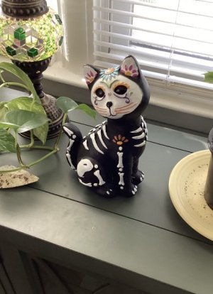 IMG_1008.jpeg