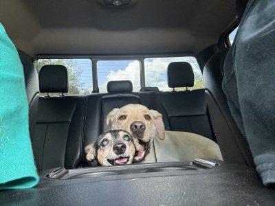 IMG_8616.jpeg