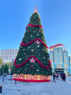 IMG_2024-11-02-102640.jpg