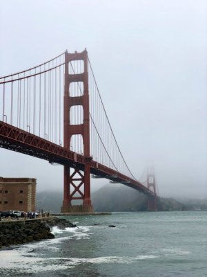 IMG_1993.jpeg