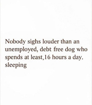 1730645741411.png