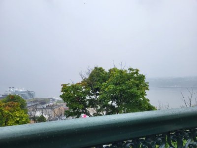 20240818_103134.jpg