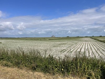 IMG_0851.JPG
