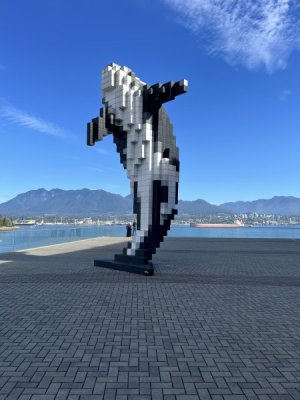 Digital Orca.jpeg