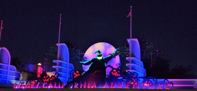 20241026_195245.jpg