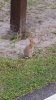 IMG_20150403_191432954.jpg