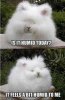 is it humid.jpg