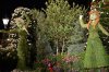 DSC_0133TR.jpg