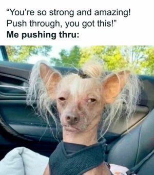 funny-random-memes-satisfydaily-18-6728bdcdc879c__700.jpg