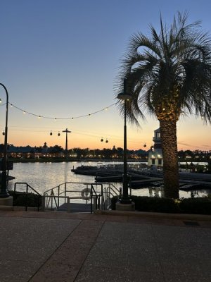 IMG_4654.JPEG