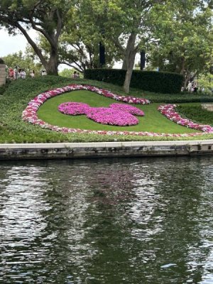 IMG_4217.JPEG
