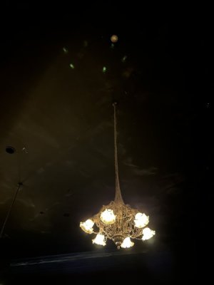 IMG_4498.JPEG