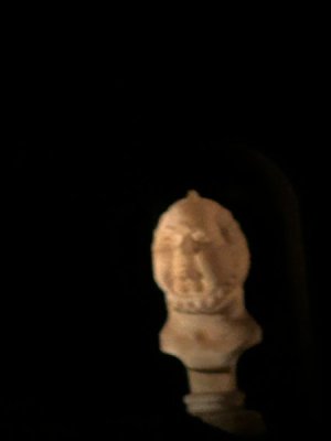IMG_4501.JPEG