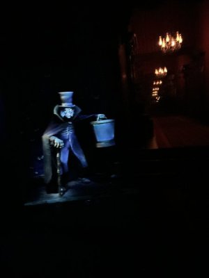 IMG_4507.JPEG