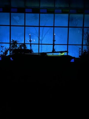 IMG_4509.JPEG