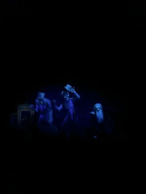 IMG_4526.JPEG