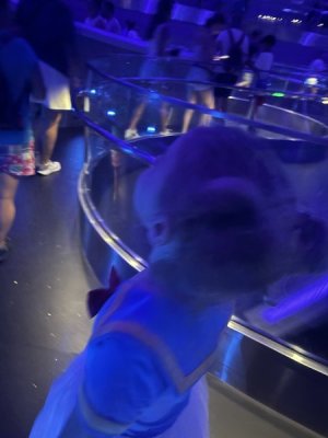 1730842840748.jpeg