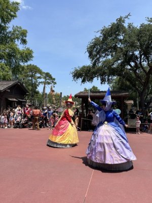 IMG_4532.JPEG