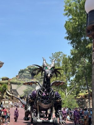 IMG_4534.JPEG